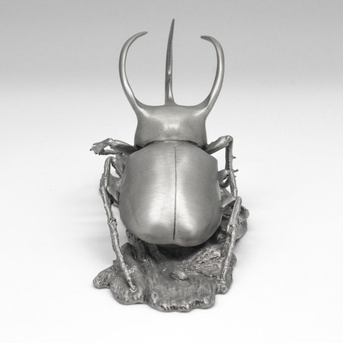 [145] Three Horned Beetle