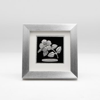 664-bunga-raya-6x6-silver-frame