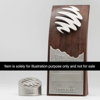 Special Order Award (3D)