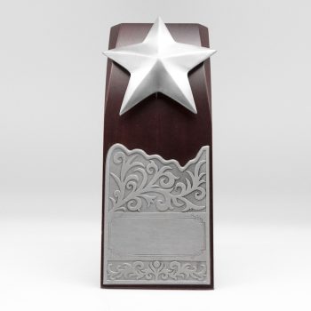 [464] Star Award (L)