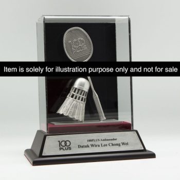 Customized Pewter in Casing 3D Design