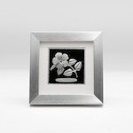category-silver-frame
